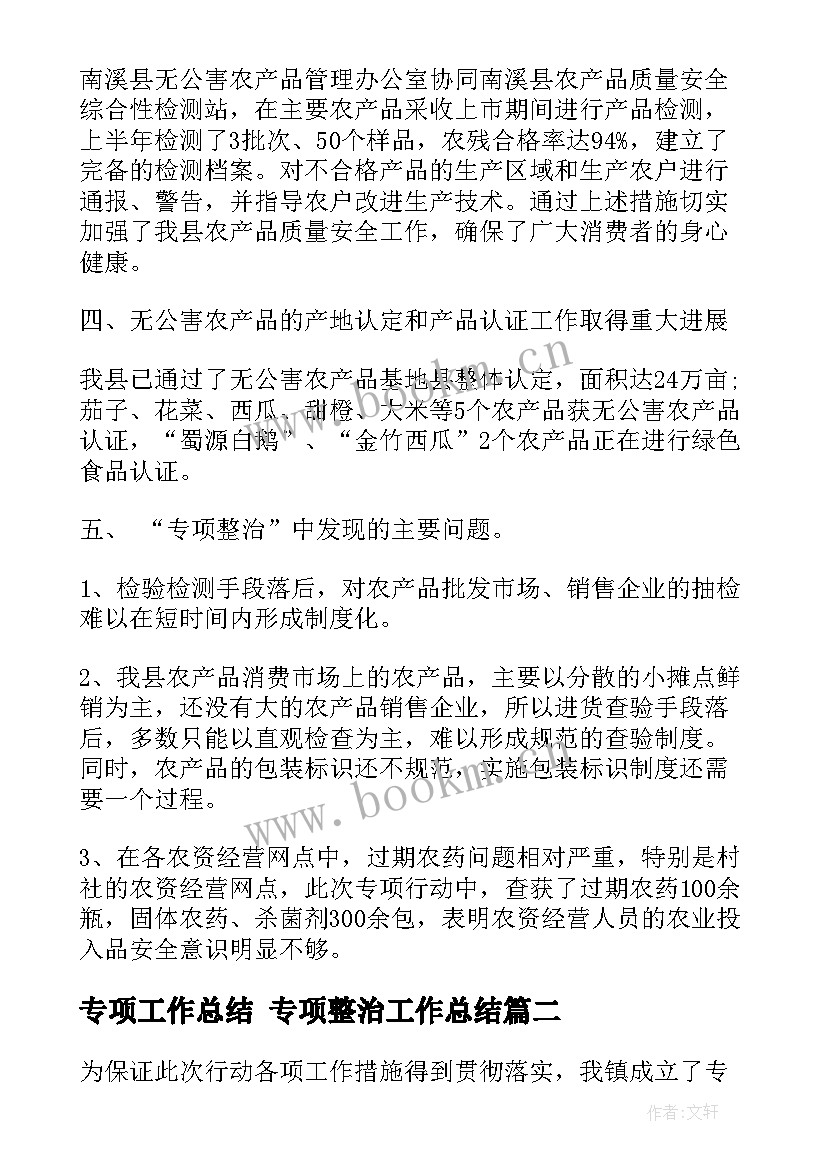 2023年专项工作总结 专项整治工作总结(通用5篇)