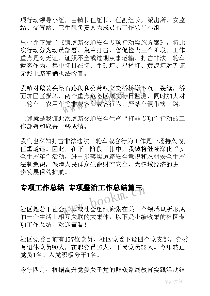 2023年专项工作总结 专项整治工作总结(通用5篇)