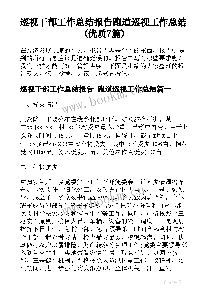 巡视干部工作总结报告 跑道巡视工作总结(优质7篇)