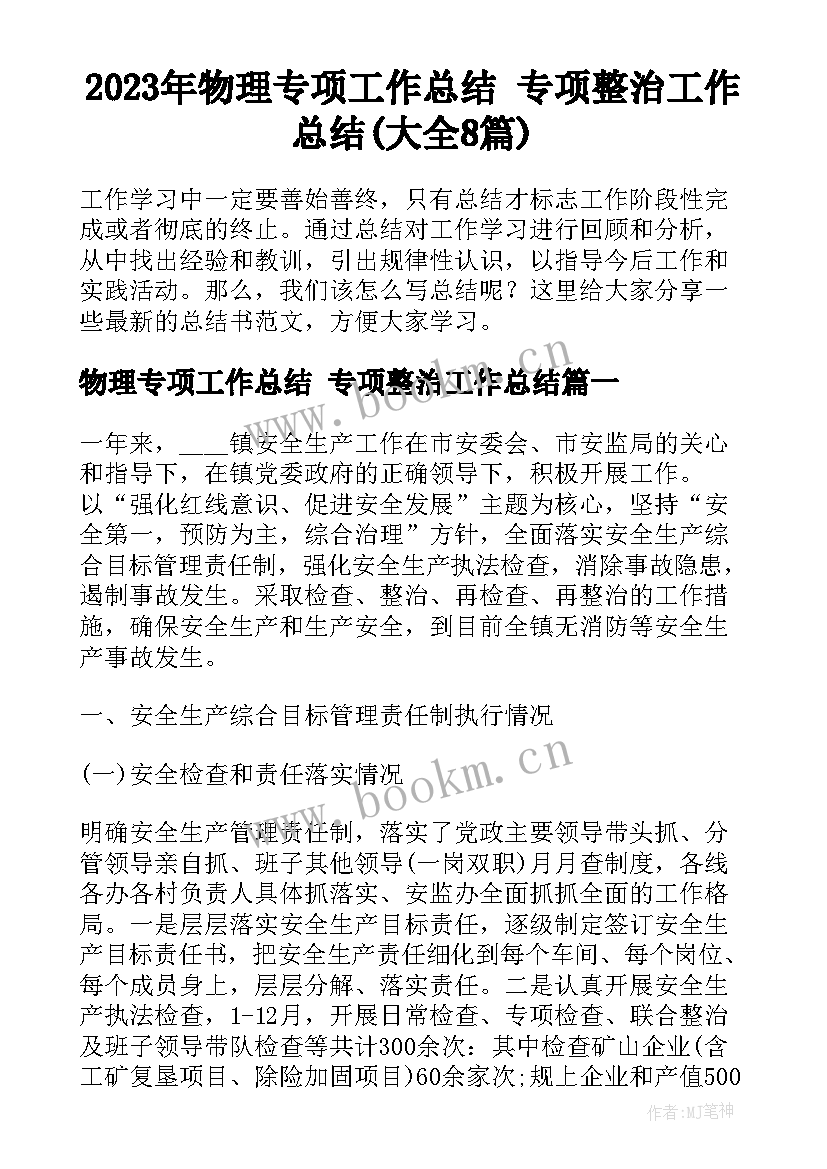 2023年物理专项工作总结 专项整治工作总结(大全8篇)