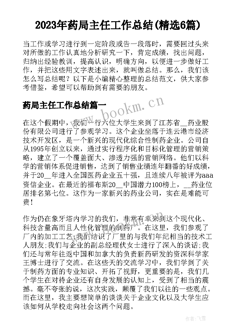 2023年药局主任工作总结(精选6篇)