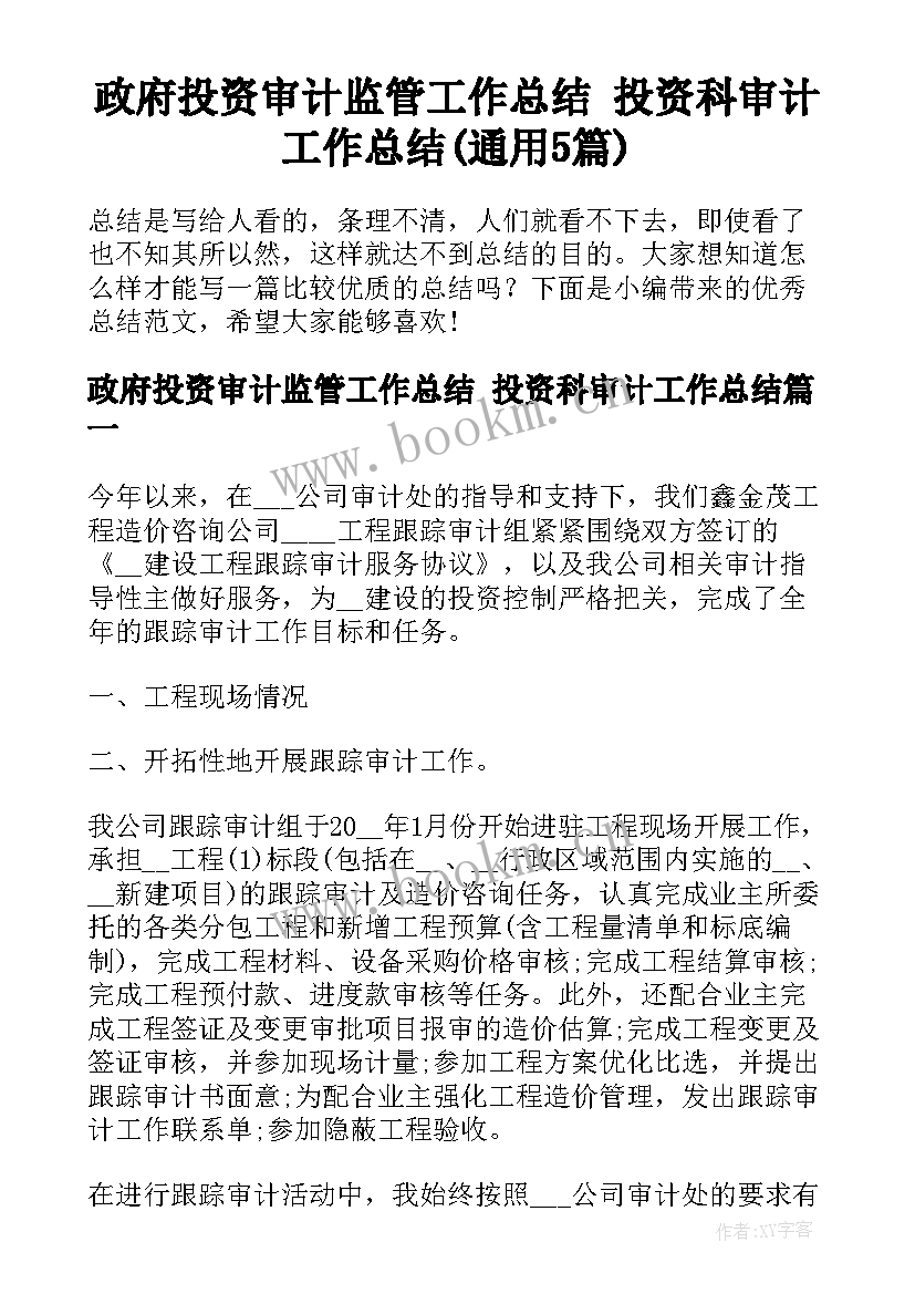 政府投资审计监管工作总结 投资科审计工作总结(通用5篇)