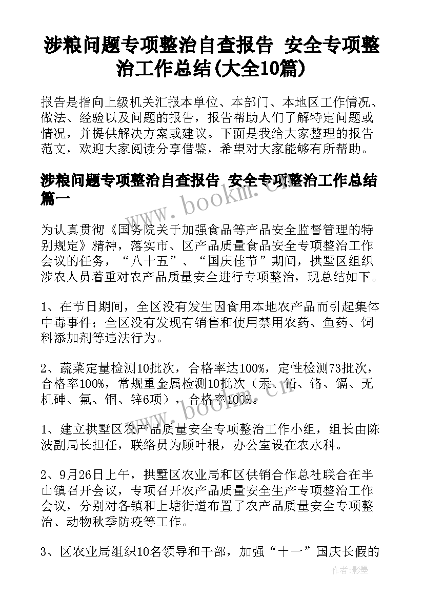 涉粮问题专项整治自查报告 安全专项整治工作总结(大全10篇)