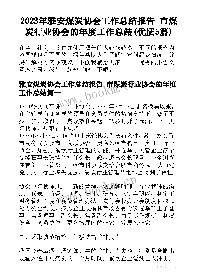 2023年雅安煤炭协会工作总结报告 市煤炭行业协会的年度工作总结(优质5篇)