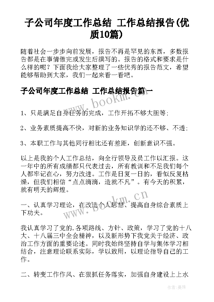 子公司年度工作总结 工作总结报告(优质10篇)