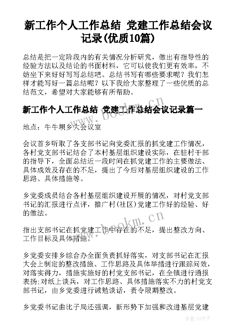 新工作个人工作总结 党建工作总结会议记录(优质10篇)