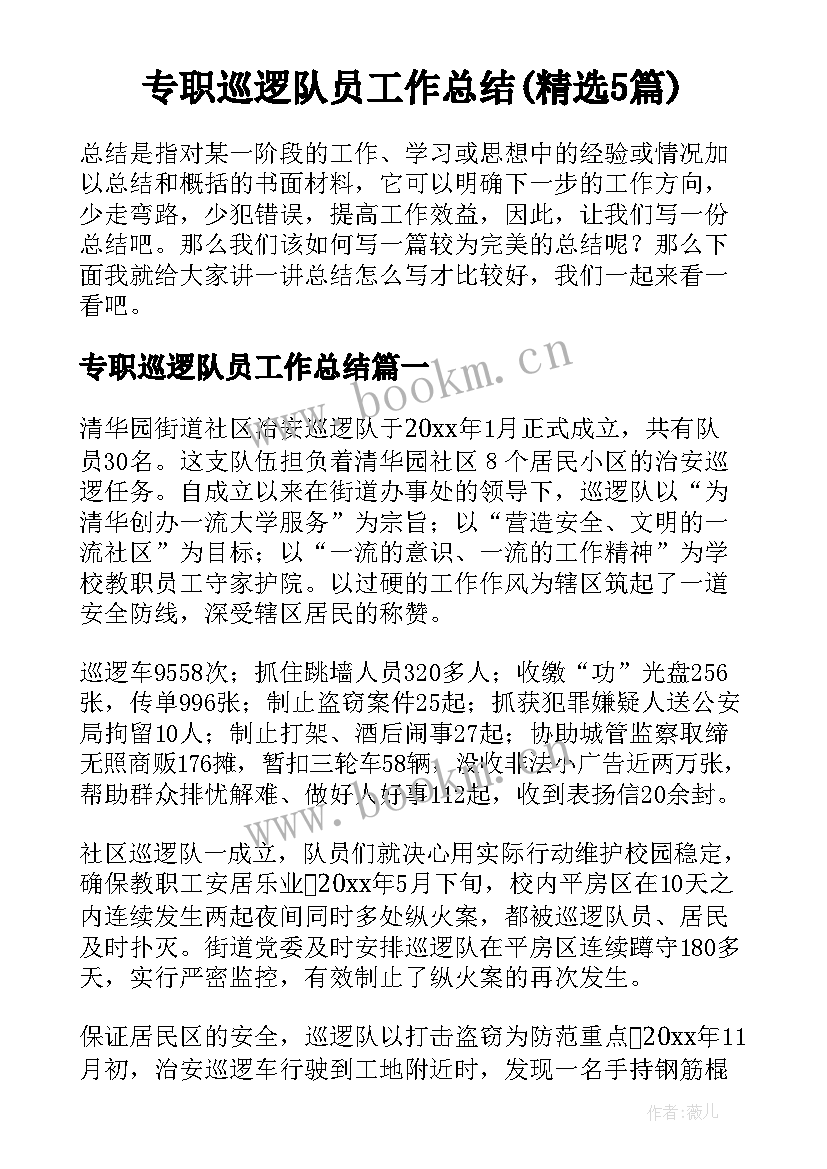 专职巡逻队员工作总结(精选5篇)