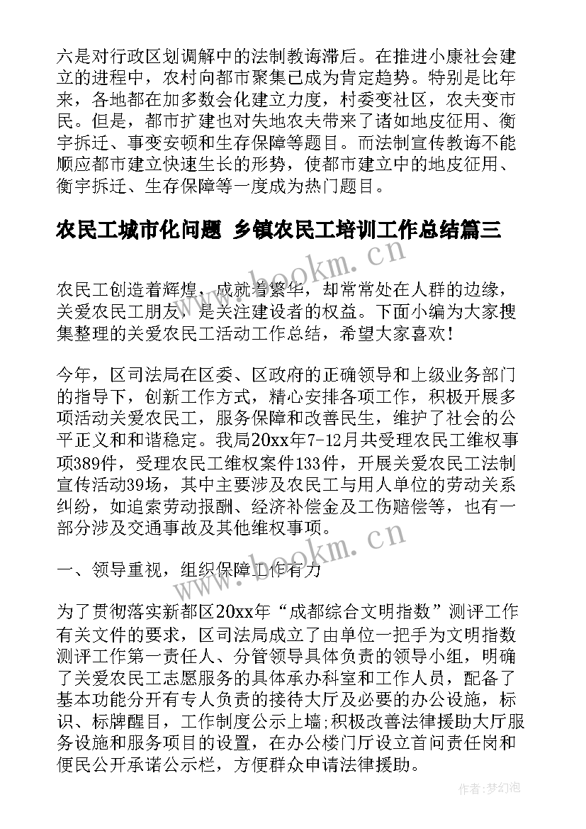 农民工城市化问题 乡镇农民工培训工作总结(精选7篇)