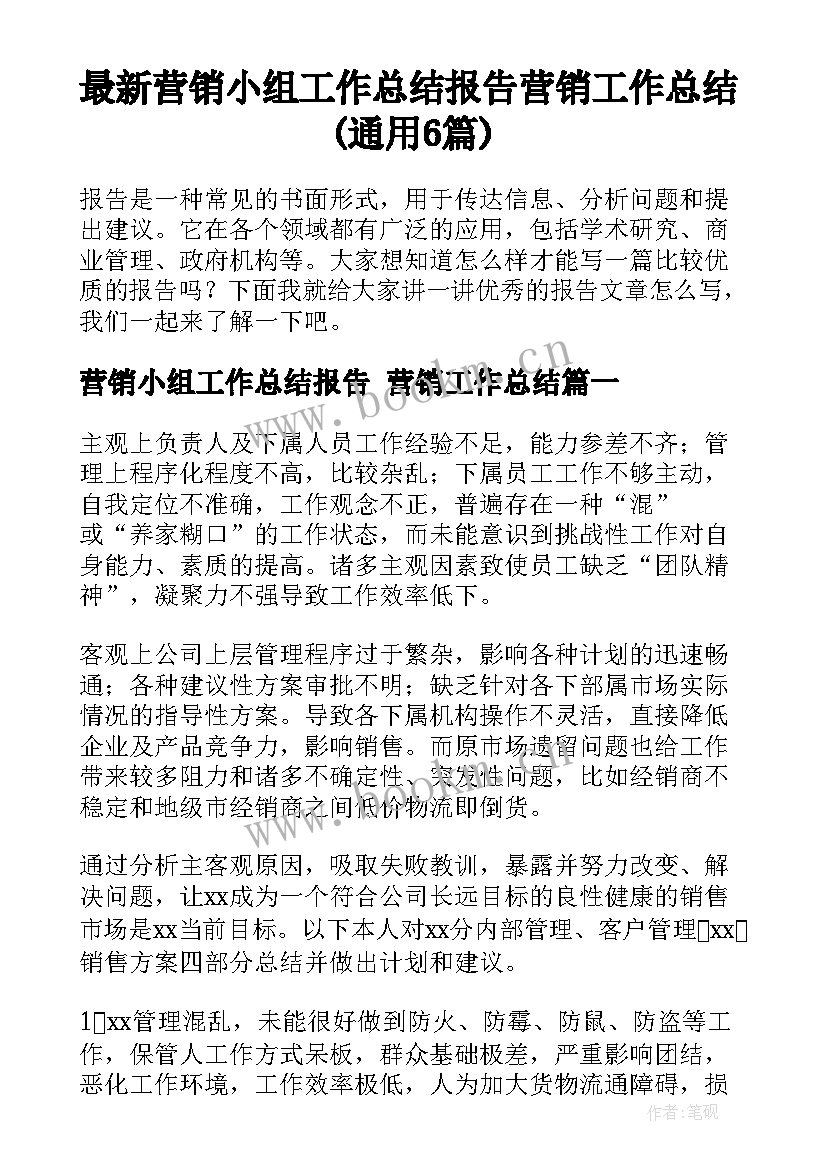 最新营销小组工作总结报告 营销工作总结(通用6篇)