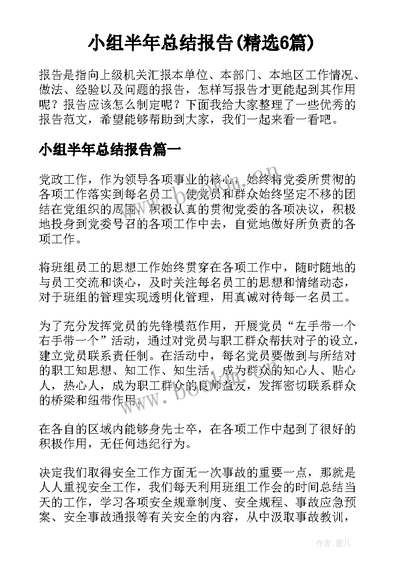 小组半年总结报告(精选6篇)