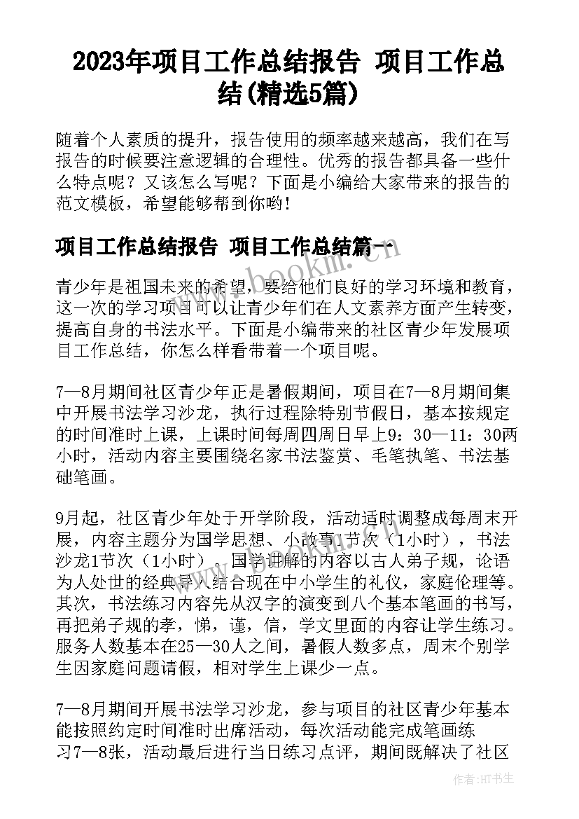 2023年项目工作总结报告 项目工作总结(精选5篇)