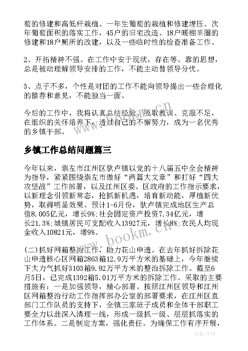 最新乡镇工作总结问题(精选6篇)