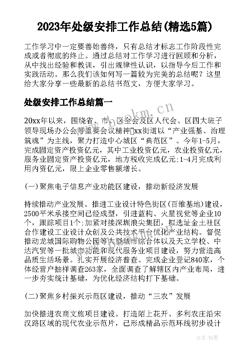 2023年处级安排工作总结(精选5篇)