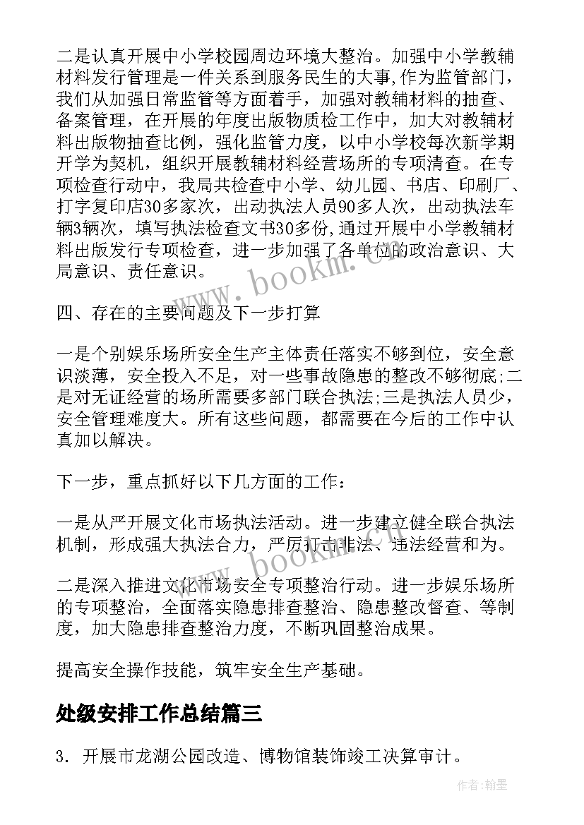 2023年处级安排工作总结(精选5篇)