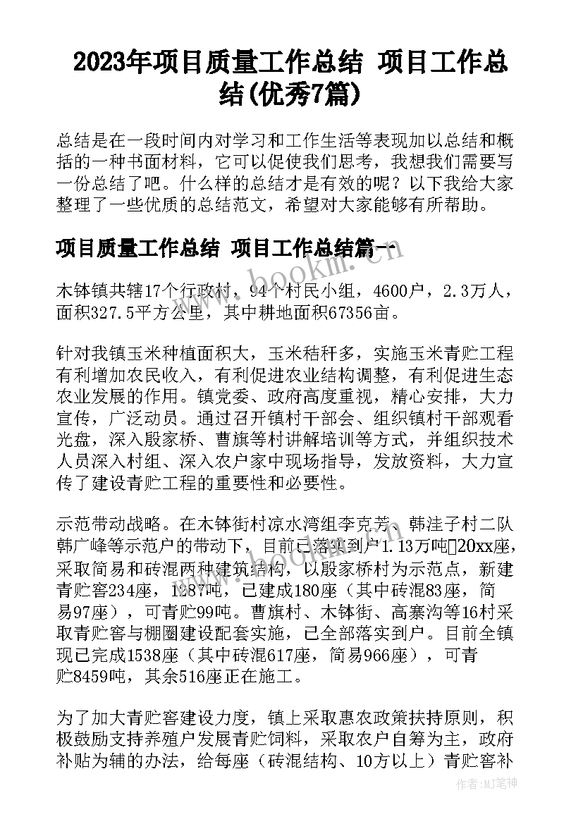 2023年项目质量工作总结 项目工作总结(优秀7篇)