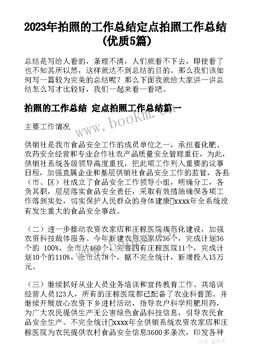 2023年拍照的工作总结 定点拍照工作总结(优质5篇)