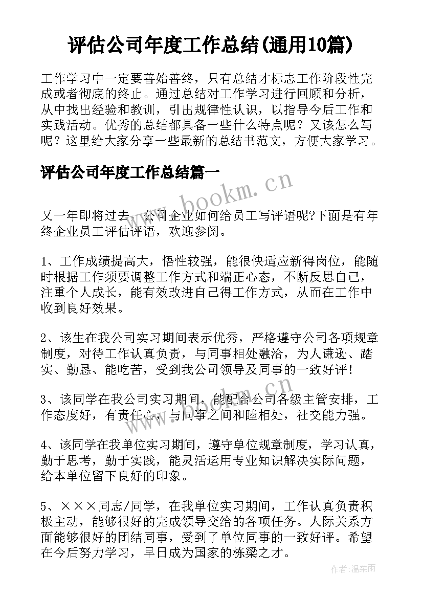 评估公司年度工作总结(通用10篇)