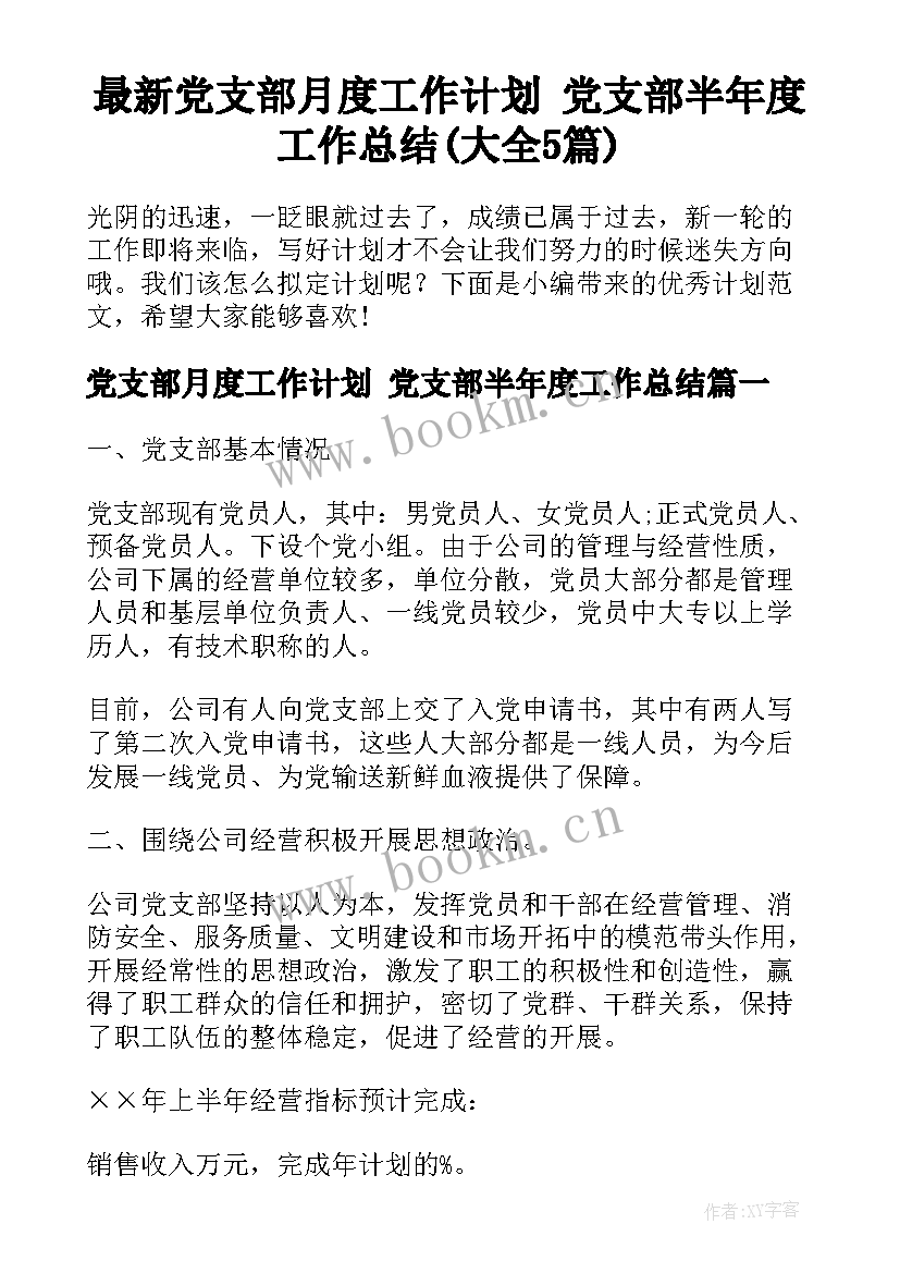 最新党支部月度工作计划 党支部半年度工作总结(大全5篇)