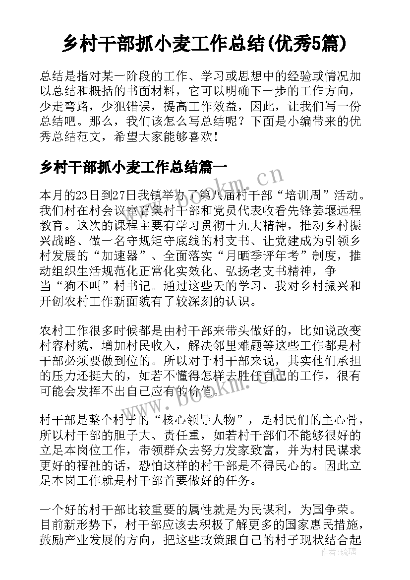 乡村干部抓小麦工作总结(优秀5篇)