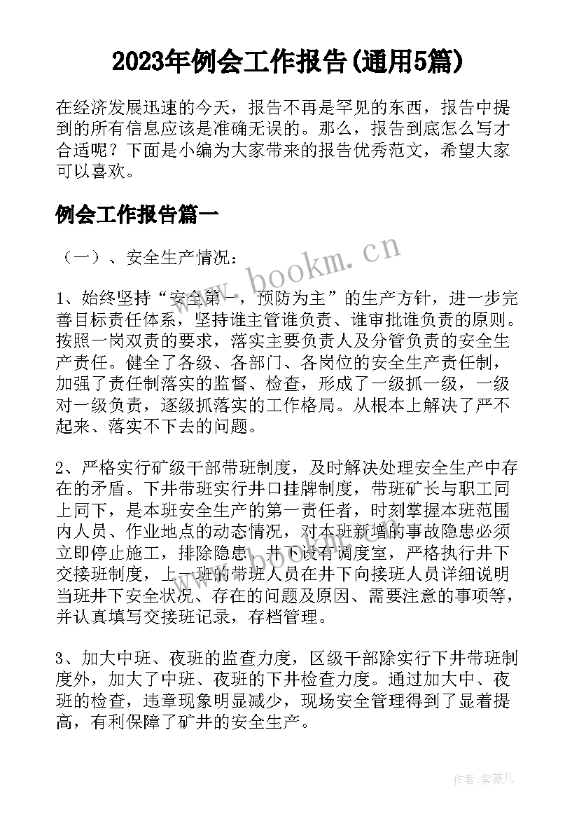 2023年例会工作报告(通用5篇)