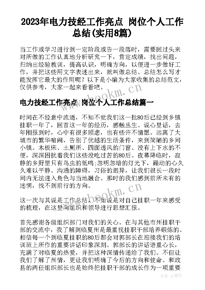 2023年电力技经工作亮点 岗位个人工作总结(实用8篇)