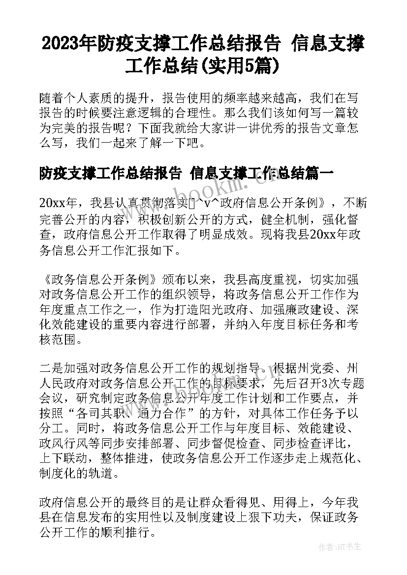 2023年防疫支撑工作总结报告 信息支撑工作总结(实用5篇)