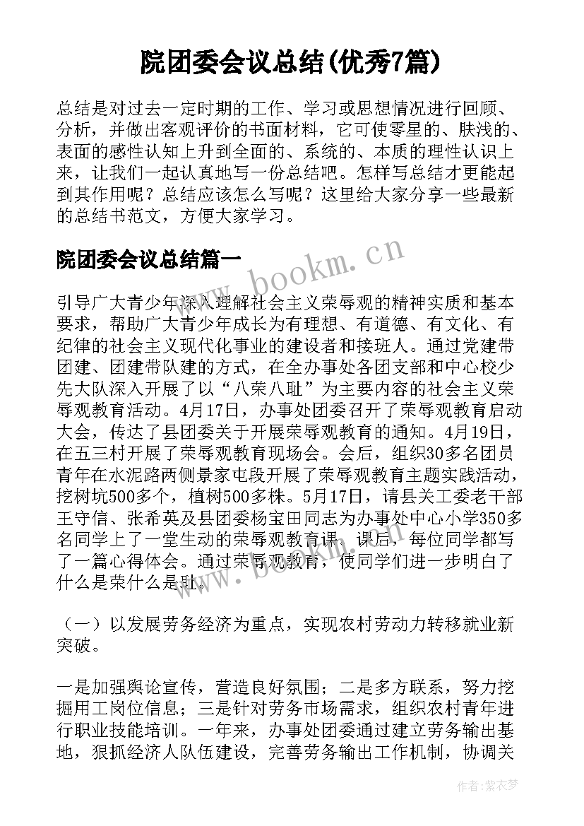 院团委会议总结(优秀7篇)