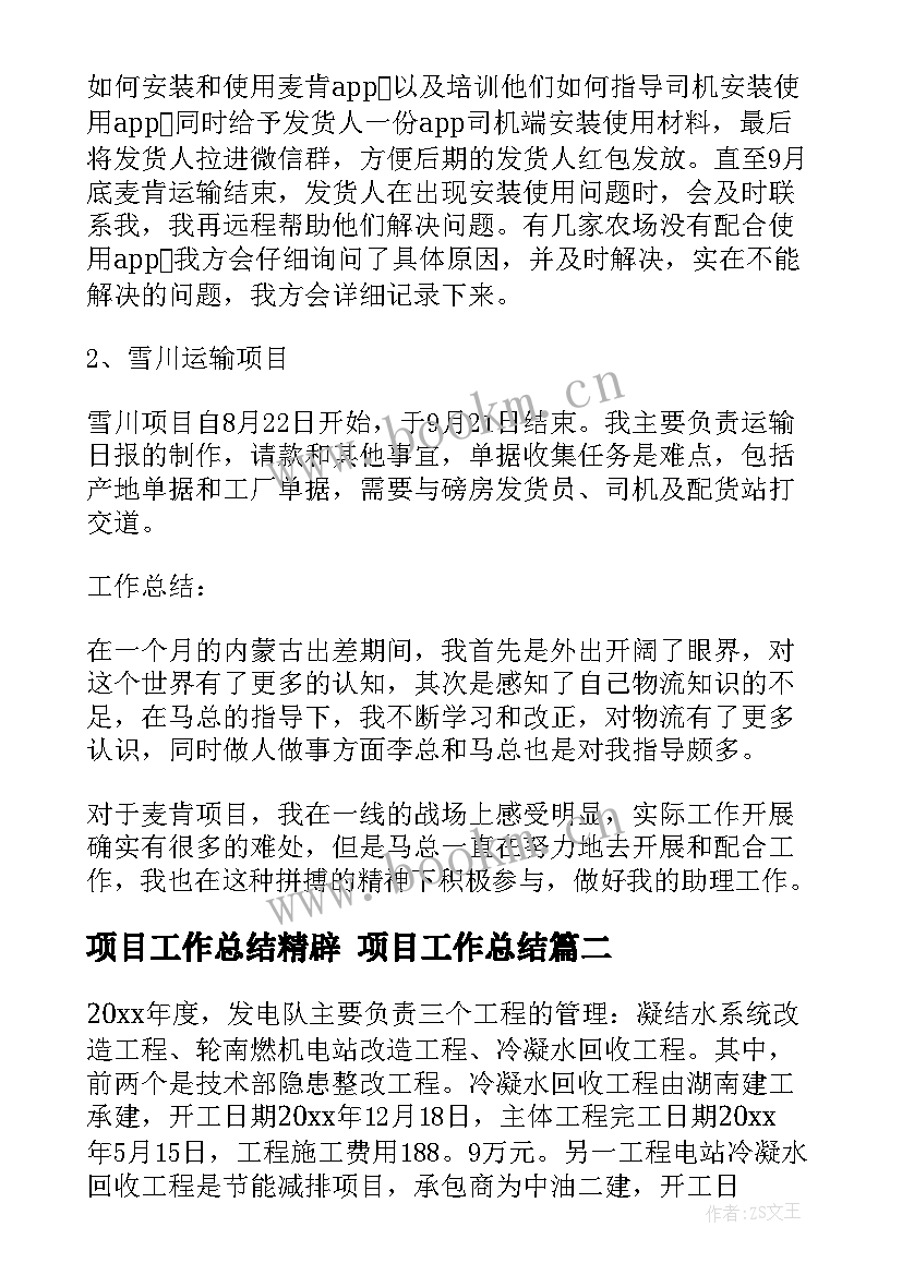 2023年项目工作总结精辟 项目工作总结(大全10篇)