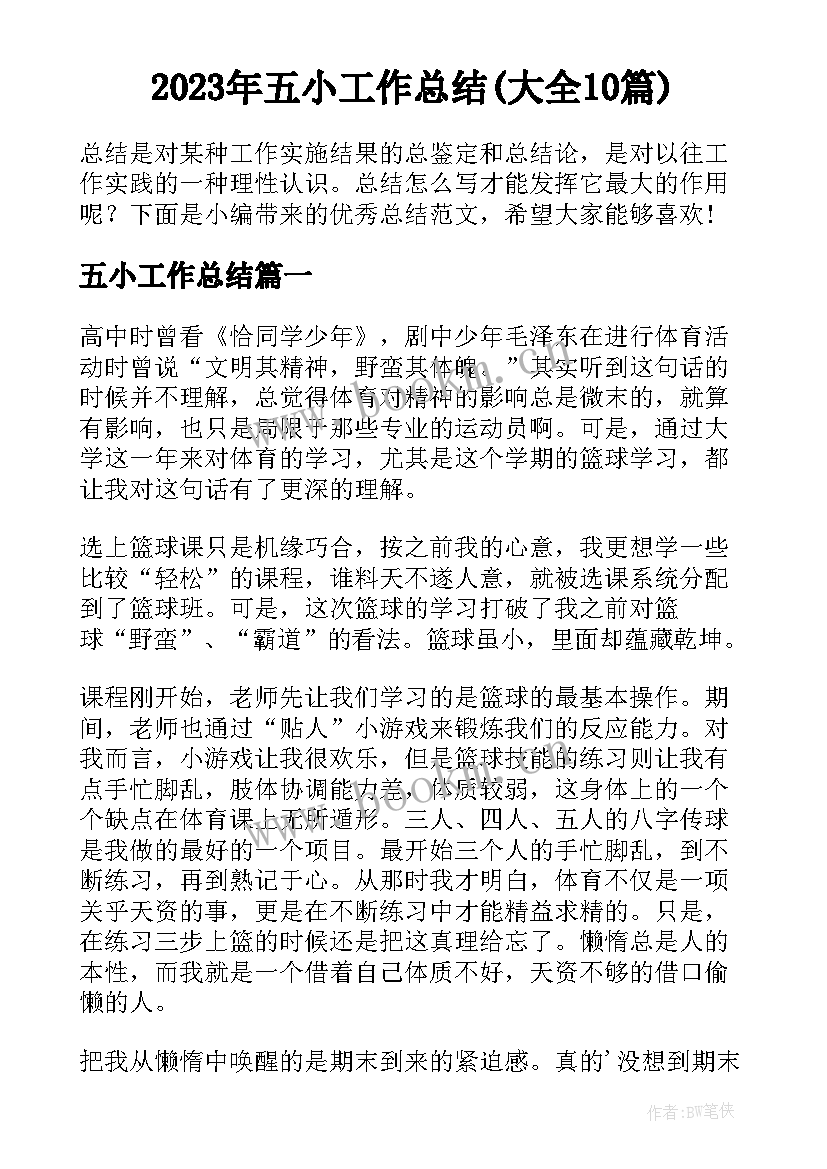 2023年五小工作总结(大全10篇)