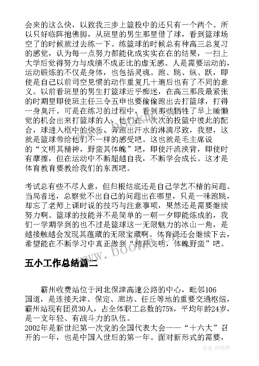 2023年五小工作总结(大全10篇)