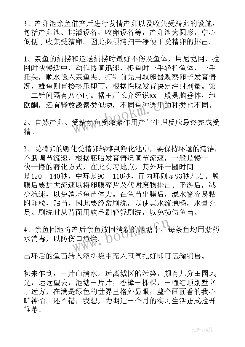 蜜蜂养殖工作总结报告 养殖协会工作总结(精选10篇)