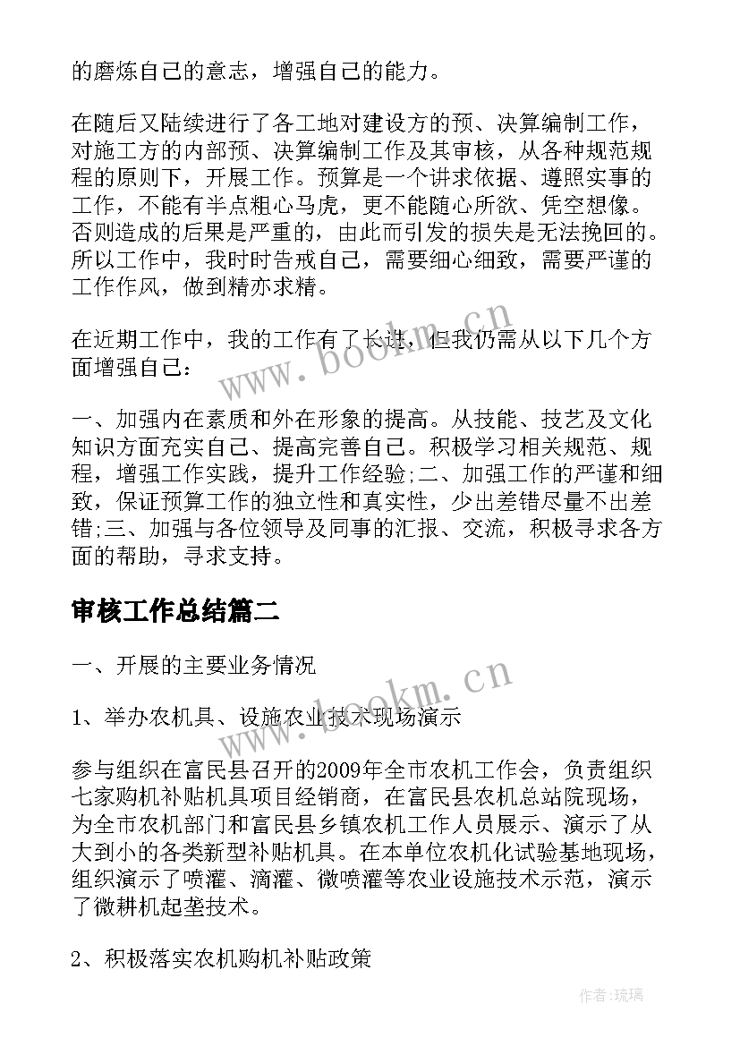 2023年审核工作总结(大全5篇)