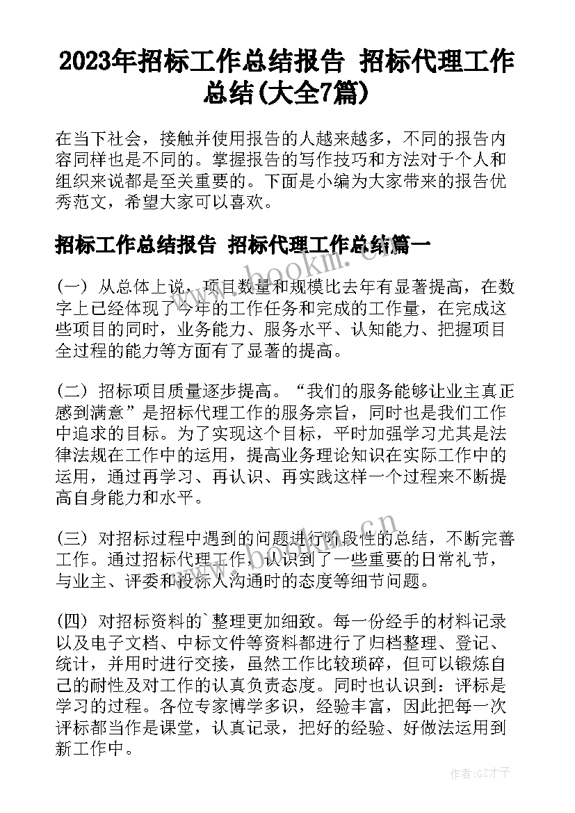 2023年招标工作总结报告 招标代理工作总结(大全7篇)