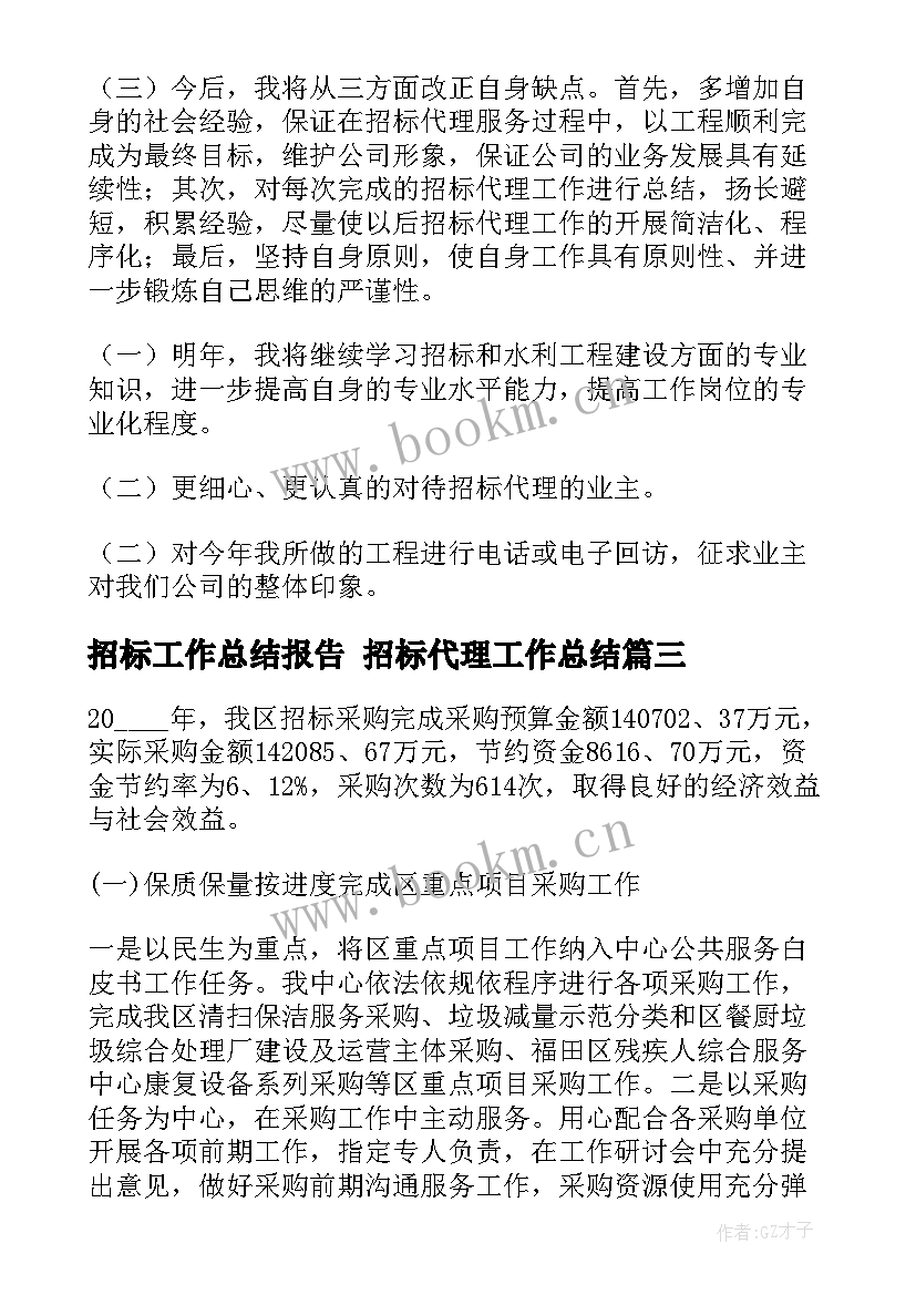 2023年招标工作总结报告 招标代理工作总结(大全7篇)