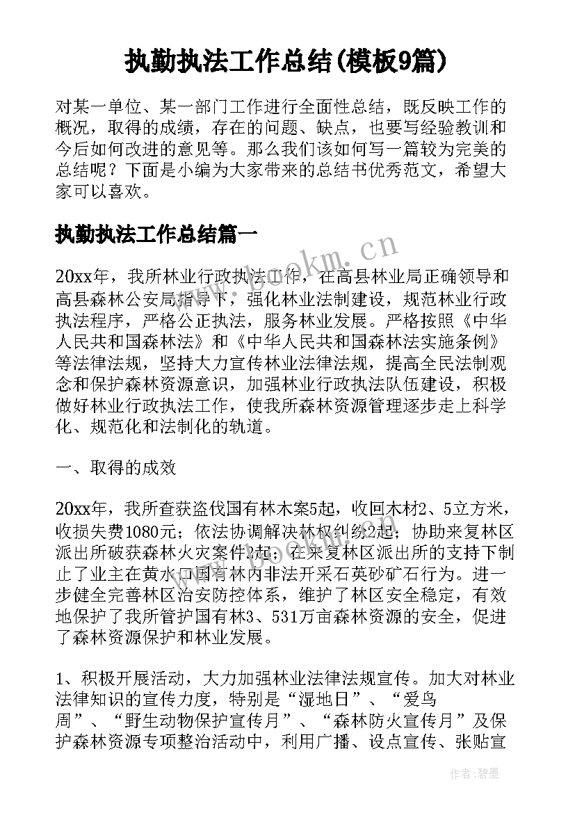 执勤执法工作总结(模板9篇)