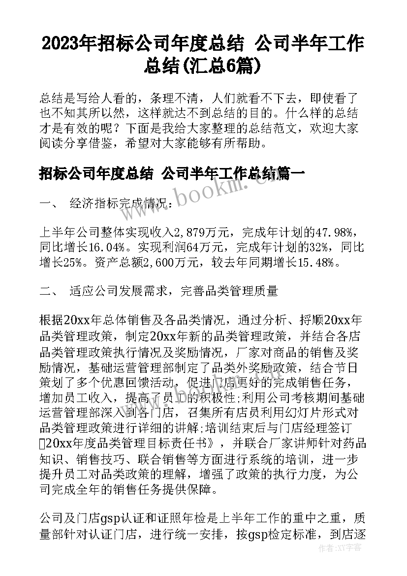 2023年招标公司年度总结 公司半年工作总结(汇总6篇)