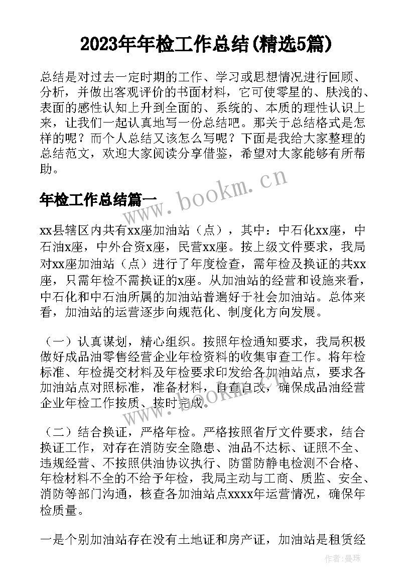 2023年年检工作总结(精选5篇)