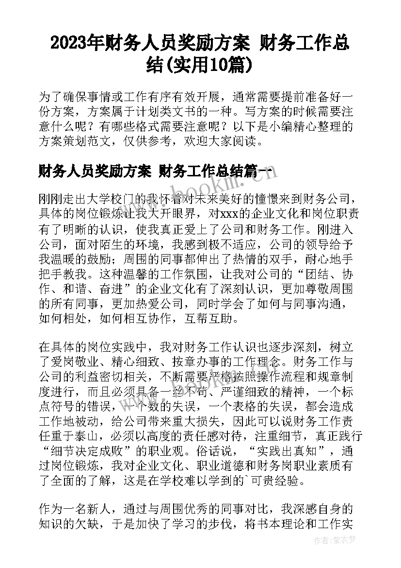 2023年财务人员奖励方案 财务工作总结(实用10篇)