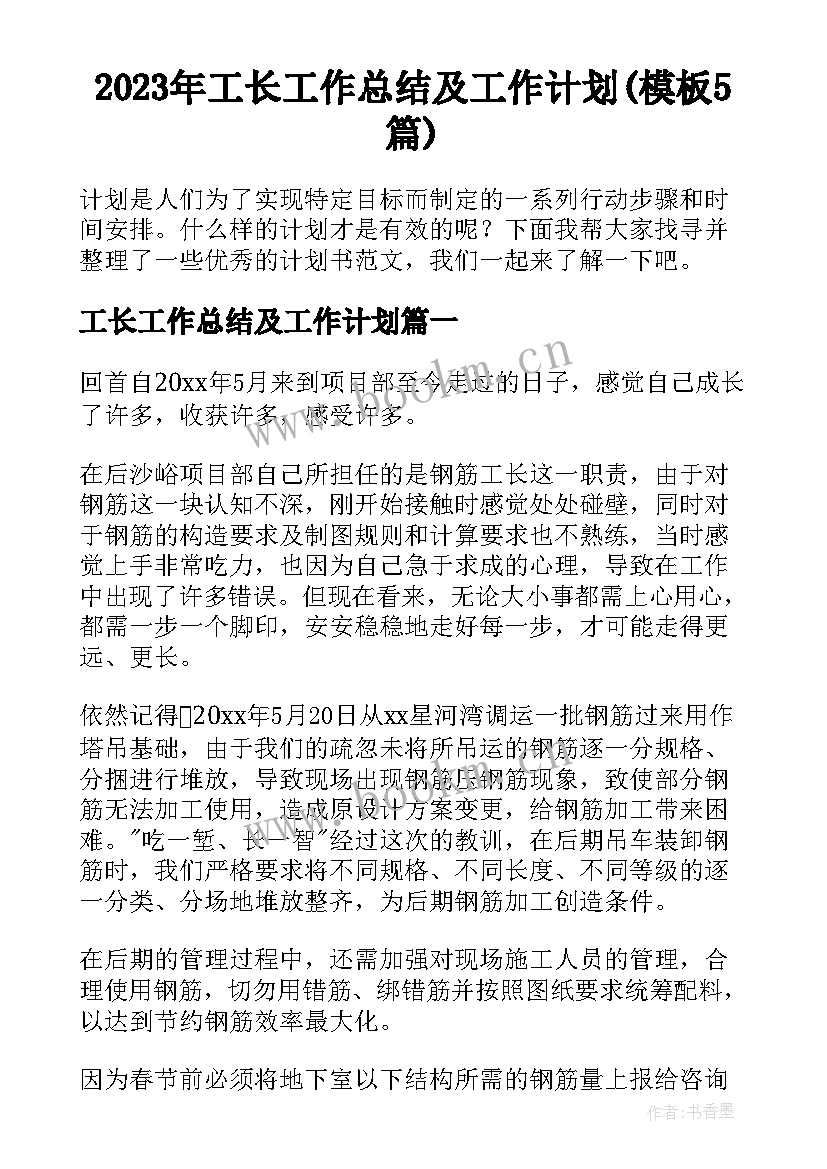 2023年工长工作总结及工作计划(模板5篇)