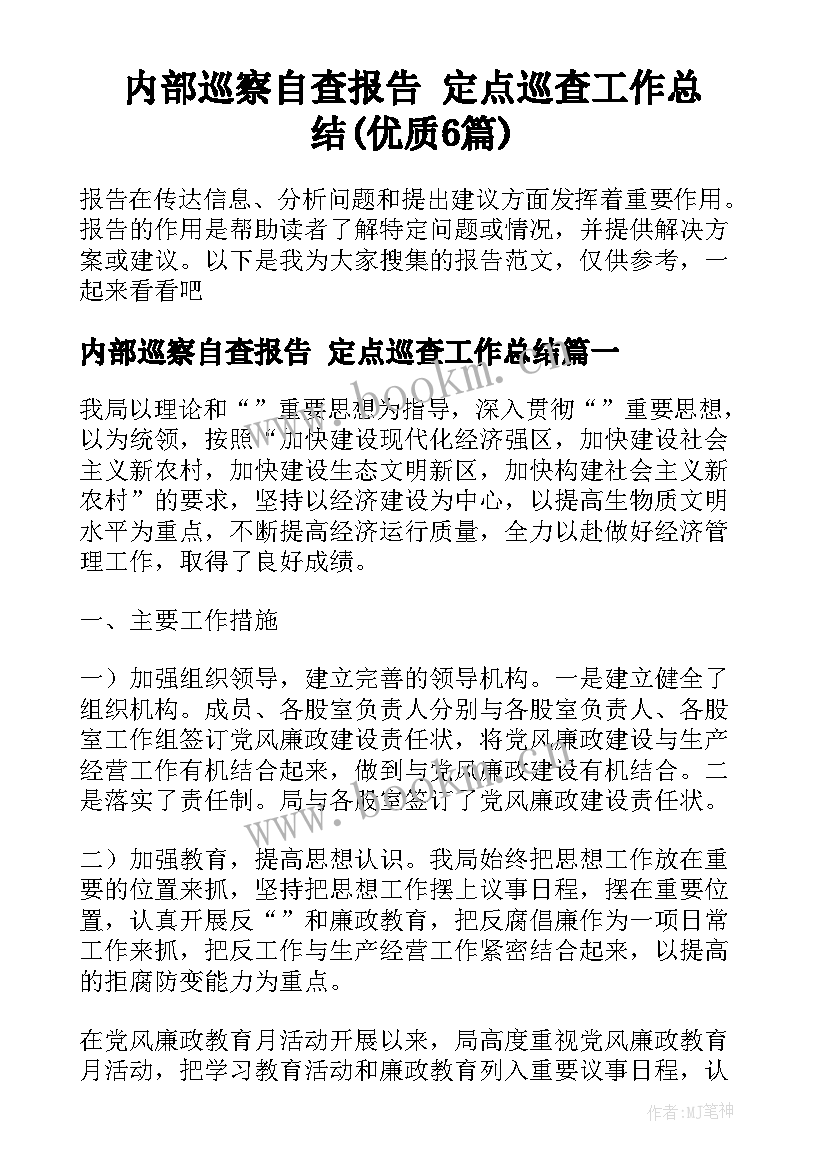 内部巡察自查报告 定点巡查工作总结(优质6篇)