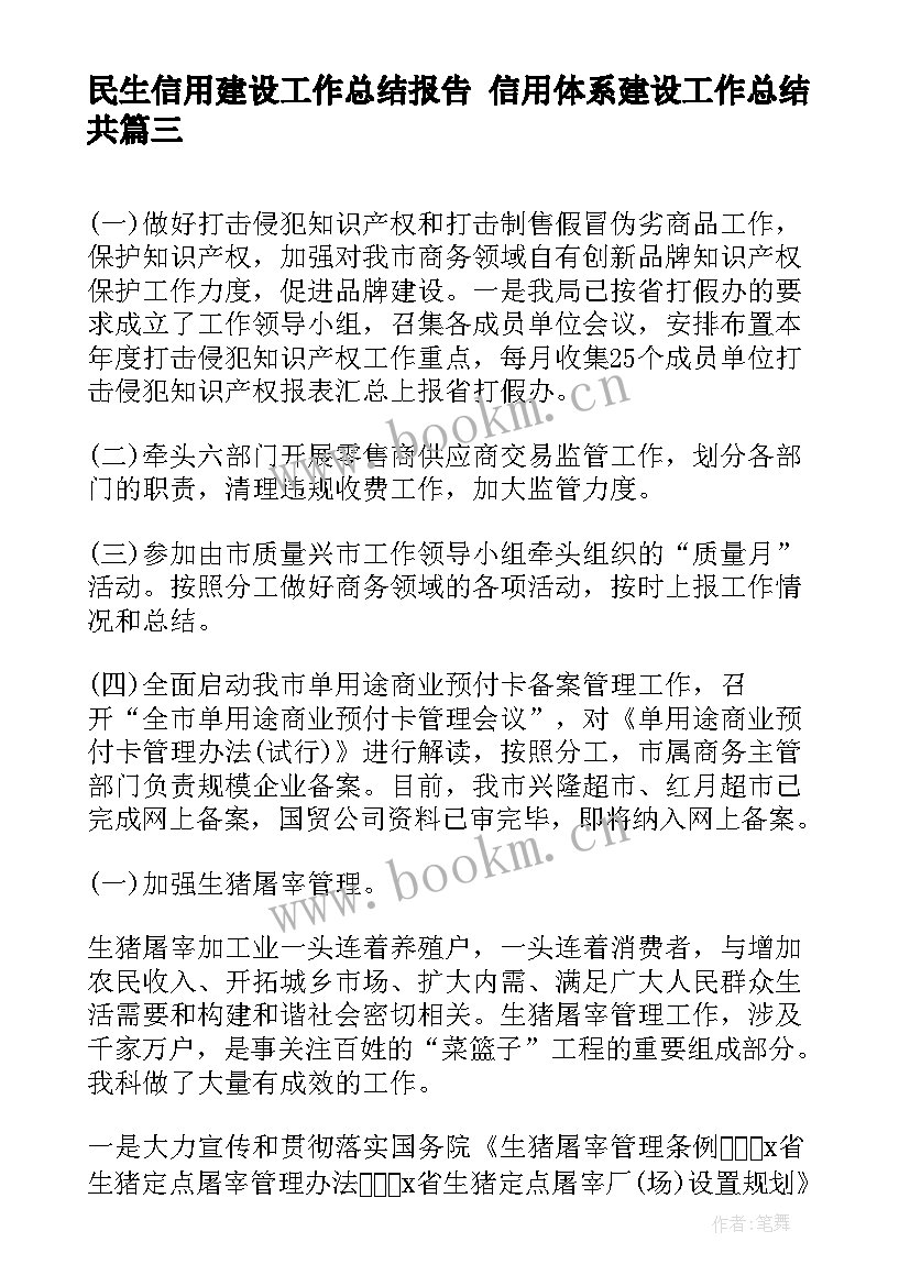 最新民生信用建设工作总结报告 信用体系建设工作总结共(模板5篇)