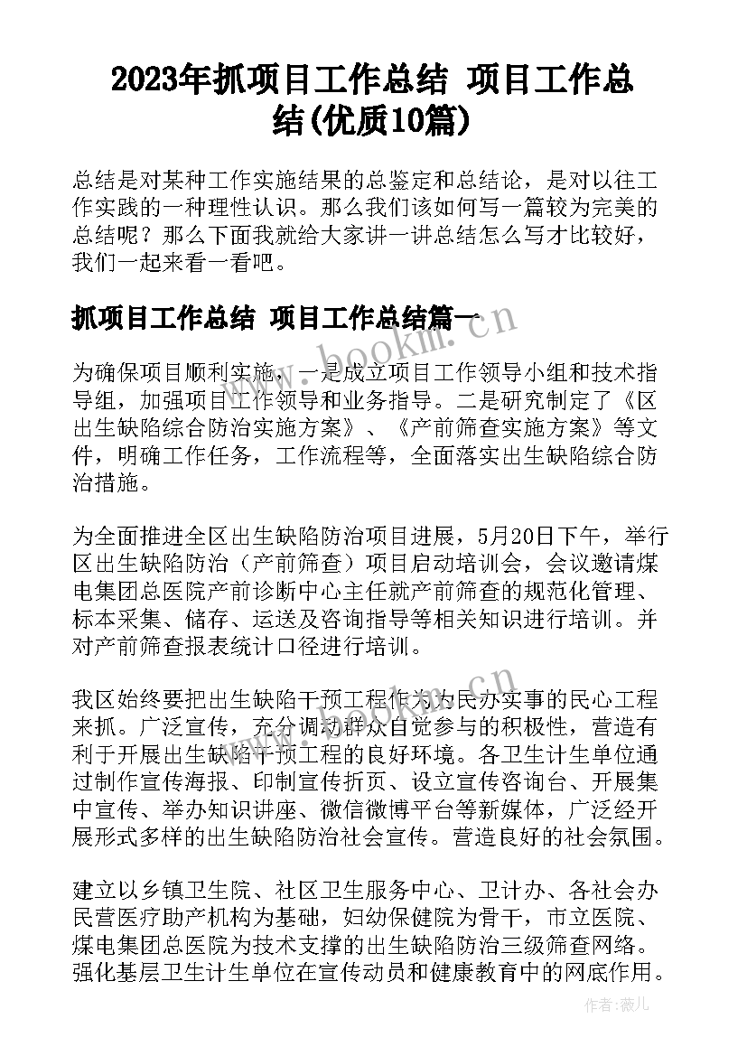 2023年抓项目工作总结 项目工作总结(优质10篇)