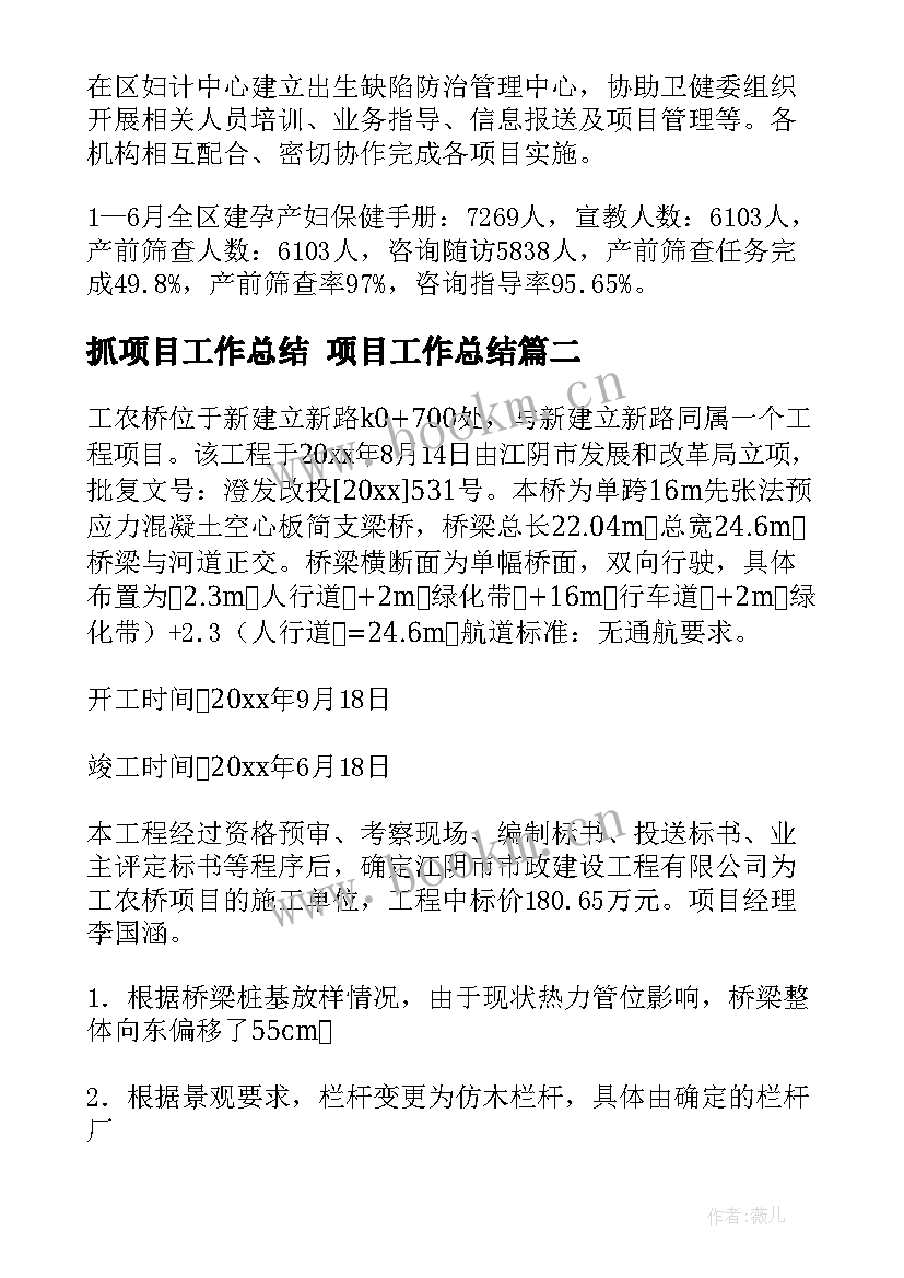 2023年抓项目工作总结 项目工作总结(优质10篇)