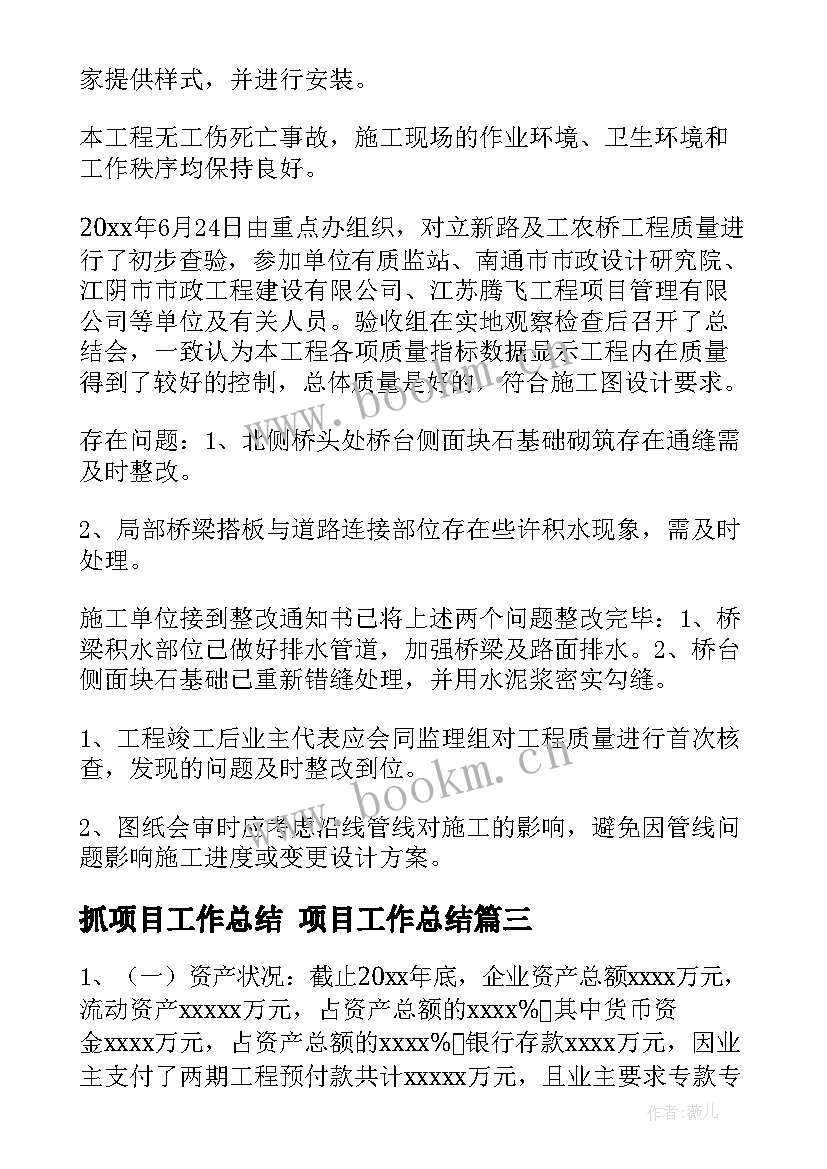 2023年抓项目工作总结 项目工作总结(优质10篇)