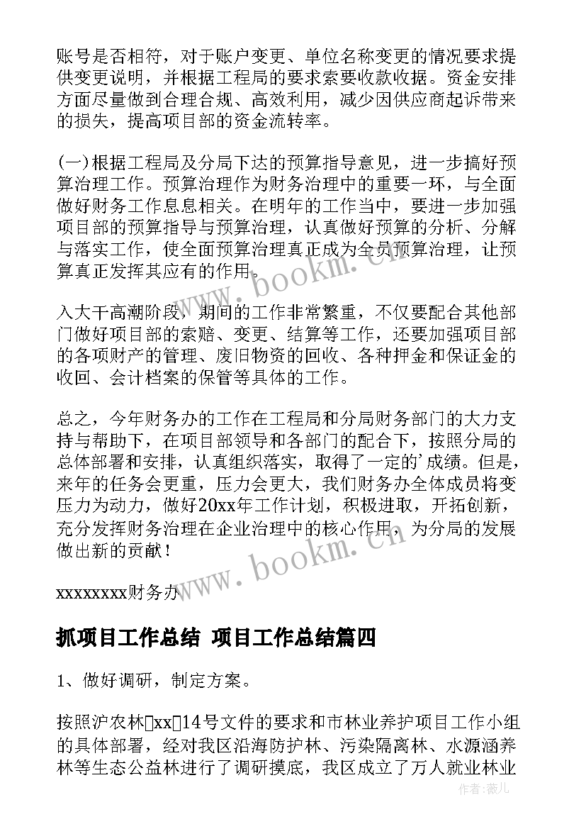 2023年抓项目工作总结 项目工作总结(优质10篇)