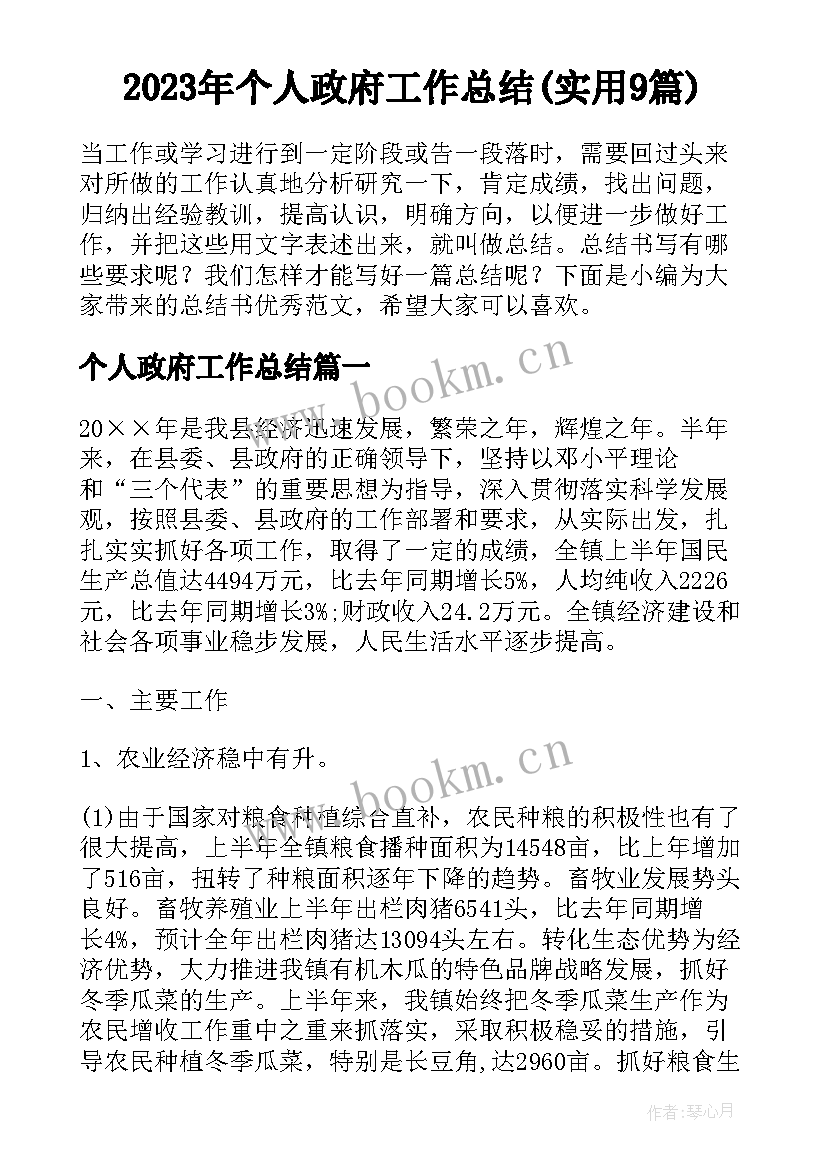 2023年个人政府工作总结(实用9篇)