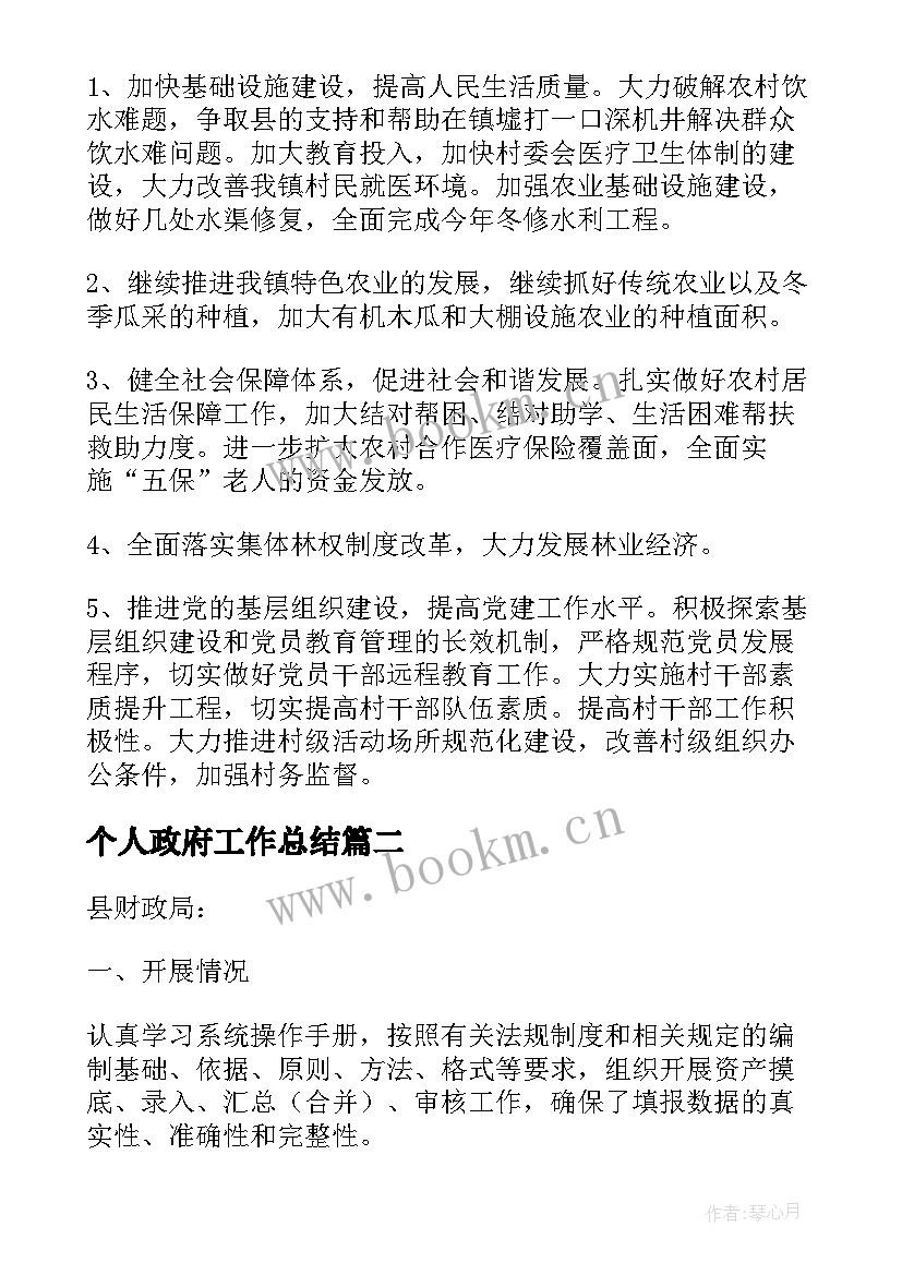 2023年个人政府工作总结(实用9篇)