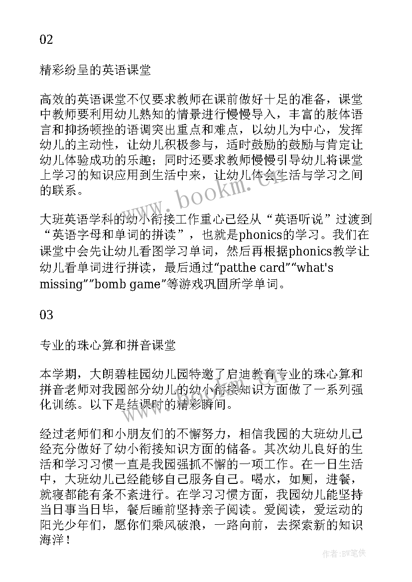 2023年用药衔接工作总结报告 幼小衔接工作总结(汇总8篇)