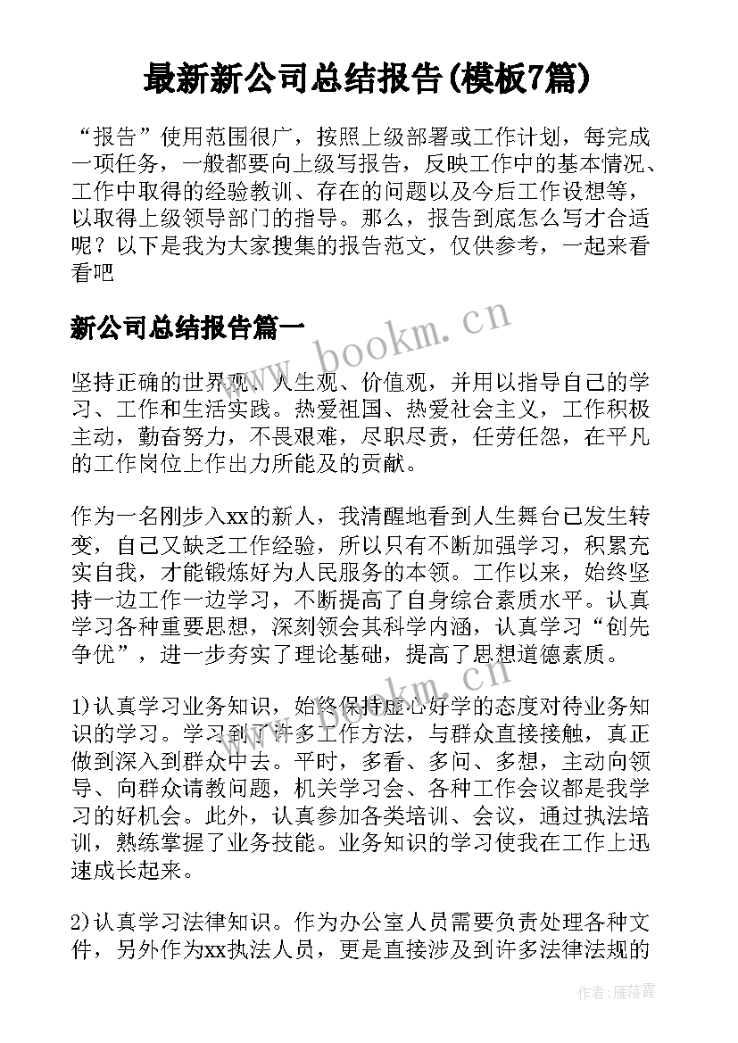 最新新公司总结报告(模板7篇)