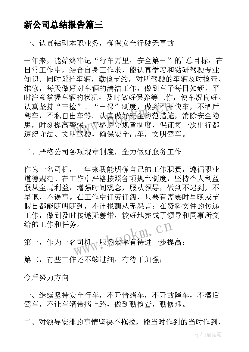 最新新公司总结报告(模板7篇)